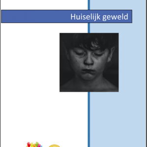 Huiselijk geweld